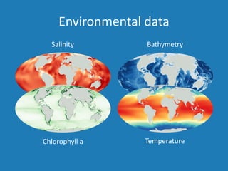 Environmental data
Salinity Bathymetry
TemperatureChlorophyll a
 