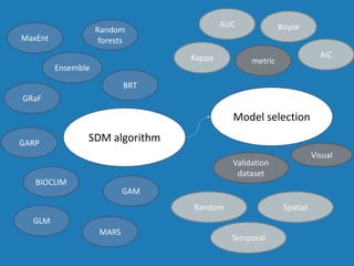 SDM algorithm
Model selection
metric
Validation
dataset
Random Spatial
AUC Boyce
Kappa AIC
MaxEnt
Random
forests
GRaF
GLM
GAM
GARP
Visual
BIOCLIM
Ensemble
BRT
MARS
Temporal
 