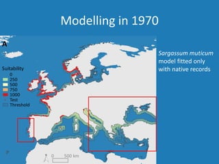 Modelling in 1970
Sargassum muticum
model fitted only
with native records
 