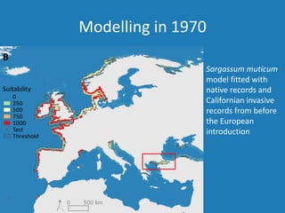 Modelling in 1970
Sargassum muticum
model fitted with
native records and
Californian invasive
records from before
the European
introduction
 