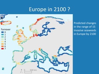 Europe in 2100 ?
Predicted changes
in the range of 15
invasive seaweeds
in Europe by 2100
 