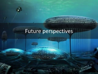 Future perspectives
 