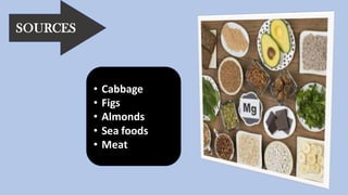 SOURCES
• Cabbage
• Figs
• Almonds
• Sea foods
• Meat