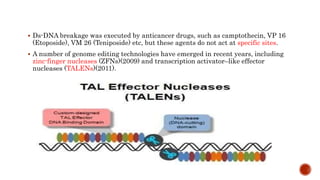  Ds-DNA breakage was executed by anticancer drugs, such as camptothecin, VP 16
(Etoposide), VM 26 (Teniposide) etc, but these agents do not act at specific sites.
 A number of genome editing technologies have emerged in recent years, including
zinc-finger nucleases (ZFNs)(2009) and transcription activator–like effector
nucleases (TALENs)(2011).
 