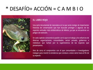 * DESAFÍO+ ACCIÓN = C A M B I O
 