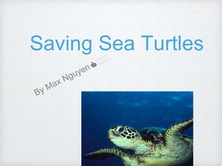 Saving Sea Turtles
 