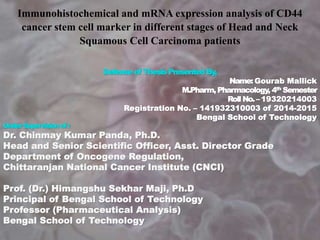 Immunohistochemical and mRNA expression analysis of CD44
cancer stem cell marker in different stages of Head and Neck
Squamous Cell Carcinoma patients
Defense of Thesis Presented By,
Name: Gourab Mallick
M.Pharm, Pharmacology, 4th Semester
Roll No.– 19320214003
Registration No. – 141932310003 of 2014-2015
Bengal School of Technology
Under Supervision of :
Dr. Chinmay Kumar Panda, Ph.D.
Head and Senior Scientific Officer, Asst. Director Grade
Department of Oncogene Regulation,
Chittaranjan National Cancer Institute (CNCI)
Prof. (Dr.) Himangshu Sekhar Maji, Ph.D
Principal of Bengal School of Technology
Professor (Pharmaceutical Analysis)
Bengal School of Technology
 