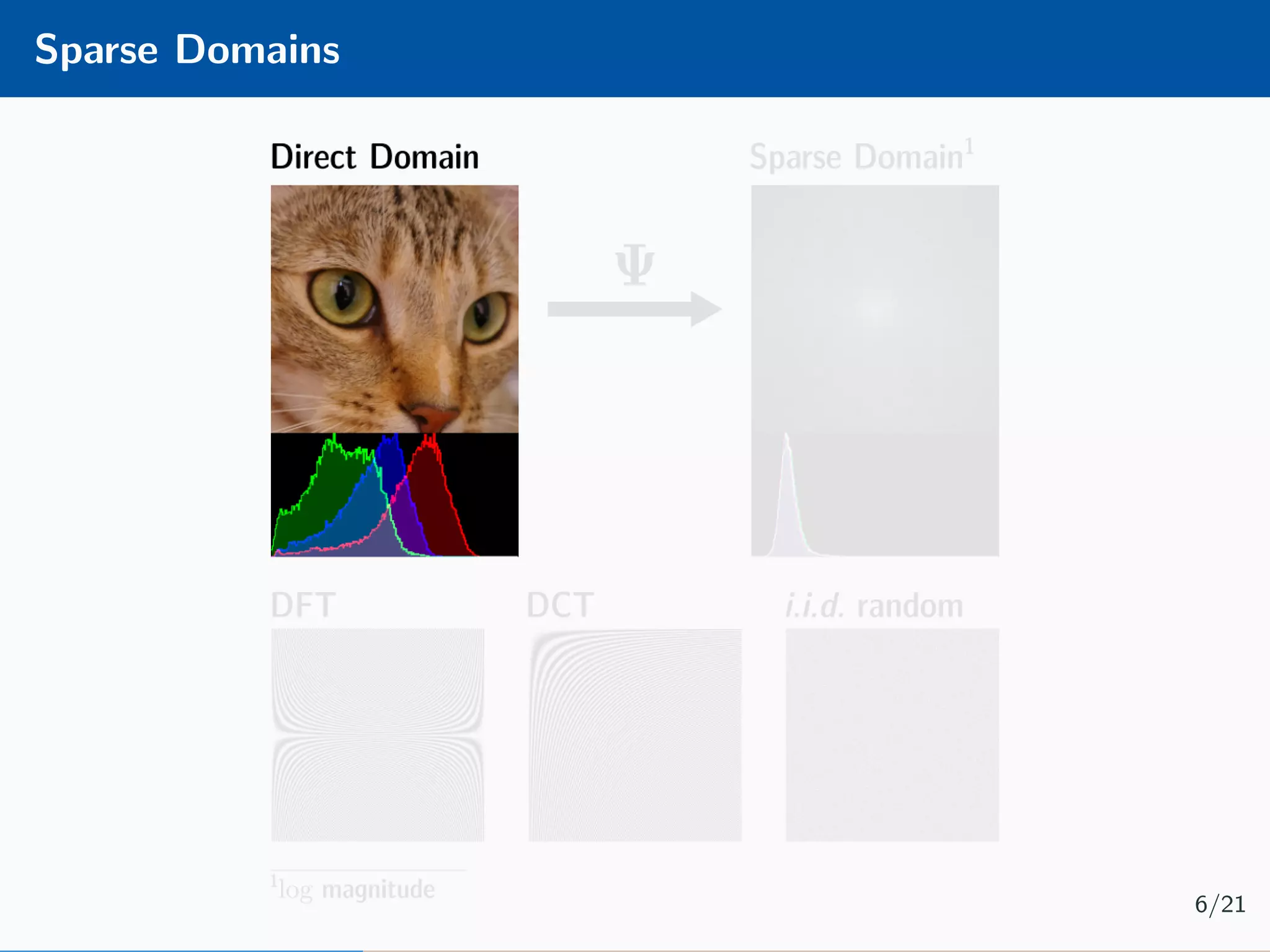 Sparse Domains 6/21 