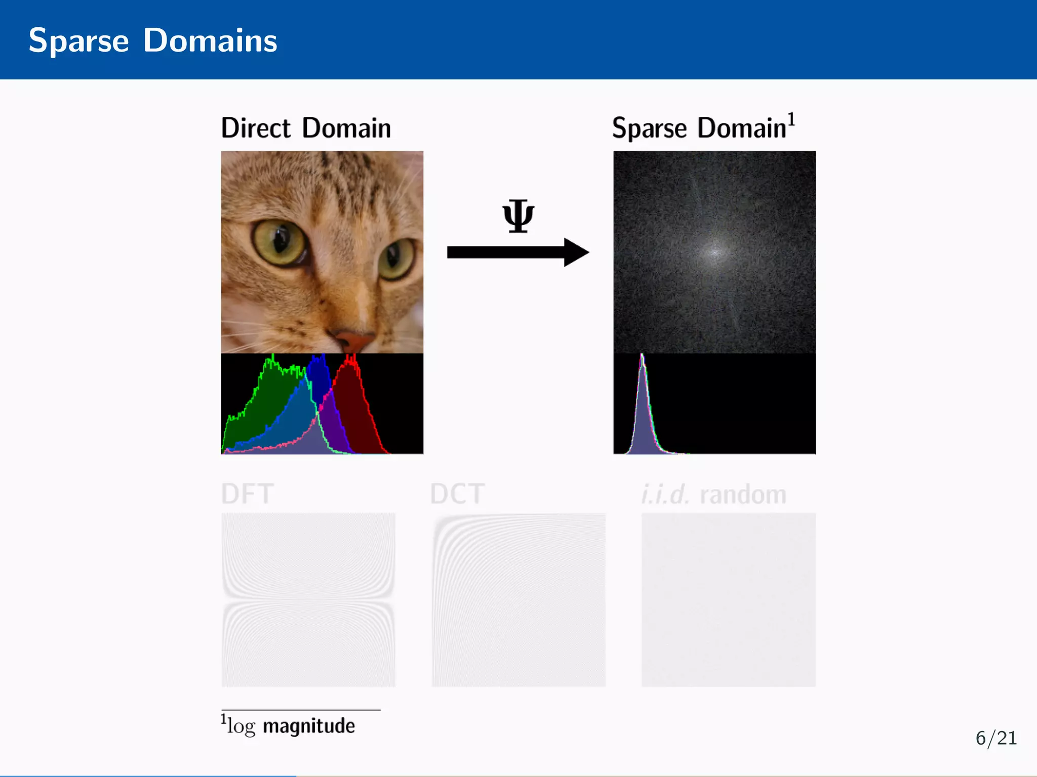 Sparse Domains 6/21 