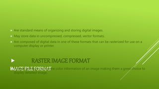 IMAGE FILE FORMAT
 Are standard means of organizing and storing digital images.
 May store data in uncompressed, compressed, vector formats.
 Are composed of digital data in one of these formats that can be rasterized for use on a
computer display or printer.
 RASTER IMAGE FORMAT
 Images faithfully display the color information of an image making them a great choice to
display detailed image.
 