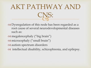 
 Dysregulation of this node has been regarded as a
root cause of several neurodevelopmental diseases
such as:
 megalencephaly (“big brain”)
 microcephaly (“small brain”)
 autism spectrum disorders
 intellectual disability, schizophrenia, and epilepsy.
AKT PATHWAY AND
CNS:
 