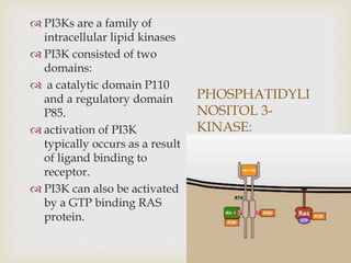 PHOSPHATIDYLI
NOSITOL 3-
KINASE:
 PI3Ks are a family of
intracellular lipid kinases
 PI3K consisted of two
domains:
 a catalytic domain P110
and a regulatory domain
P85.
 activation of PI3K
typically occurs as a result
of ligand binding to
receptor.
 PI3K can also be activated
by a GTP binding RAS
protein.
 
