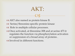 
 AKT also named as protein kinase B.
 Serine/threonine-specific protein kinase
 Role in multiple cellular processes.
 Once activated, at threonine-308 and at serine 473 it
regulates the function via phosphorylation activation
or suppression of a broad array of proteins .
 Involved in different functions.
AKT:
 