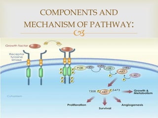 
COMPONENTS AND
MECHANISM OF PATHWAY:
 
