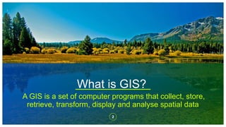 Gis Insect Geostatic Information System in Relation to Insects | PPTX
