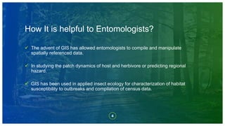 Gis Insect Geostatic Information System in Relation to Insects | PPTX