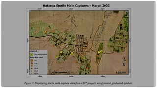 Gis Insect Geostatic Information System in Relation to Insects | PPTX