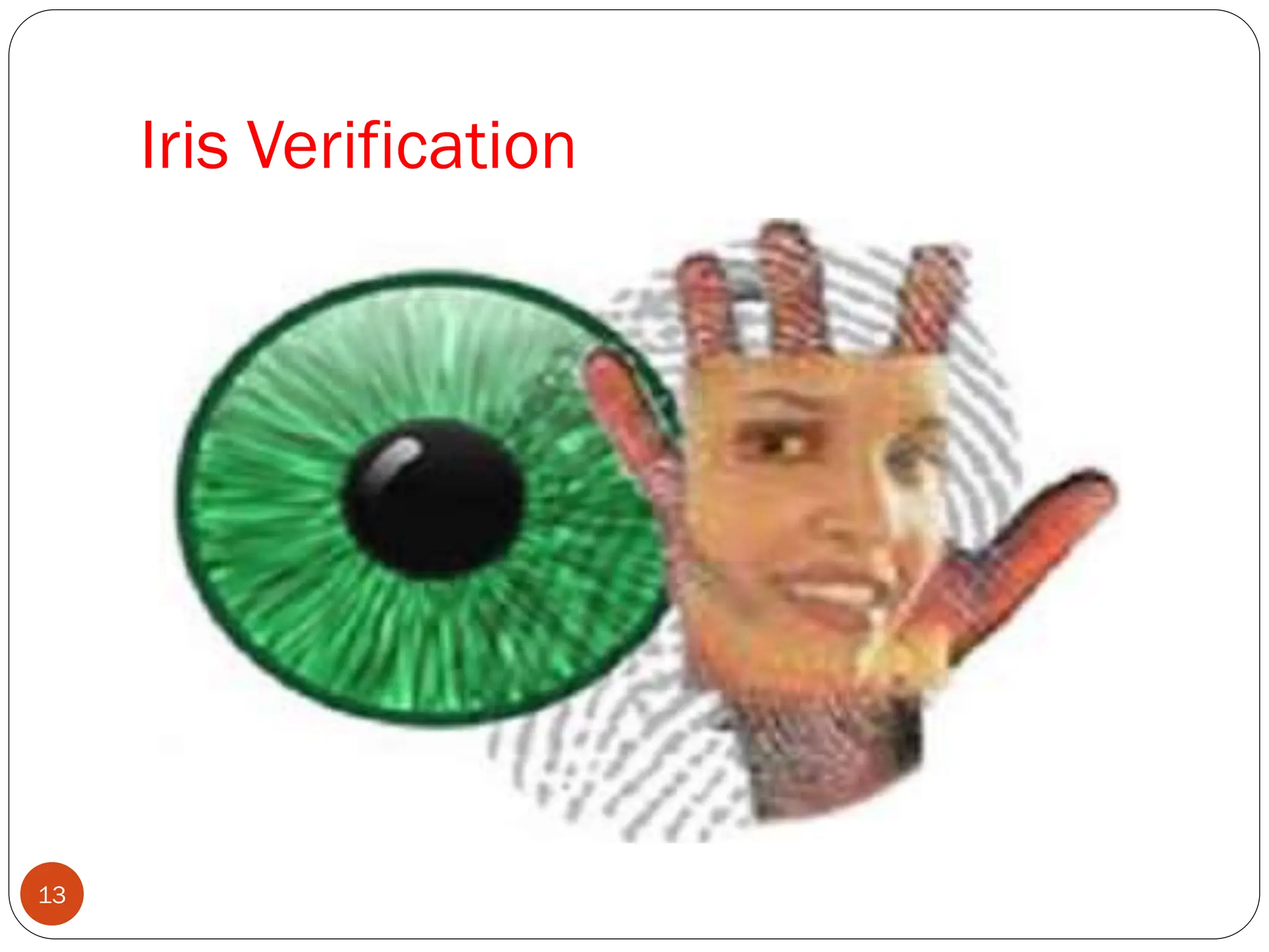 Iris Verification
13
 
