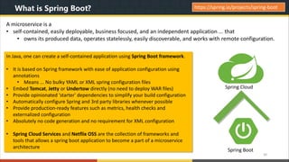 Understanding MicroSERVICE Architecture with Java & Spring Boot | PPT