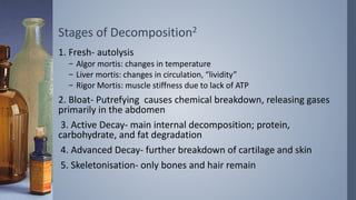 Time of Death Unknown | PPT