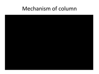 Mechanism of column
 
