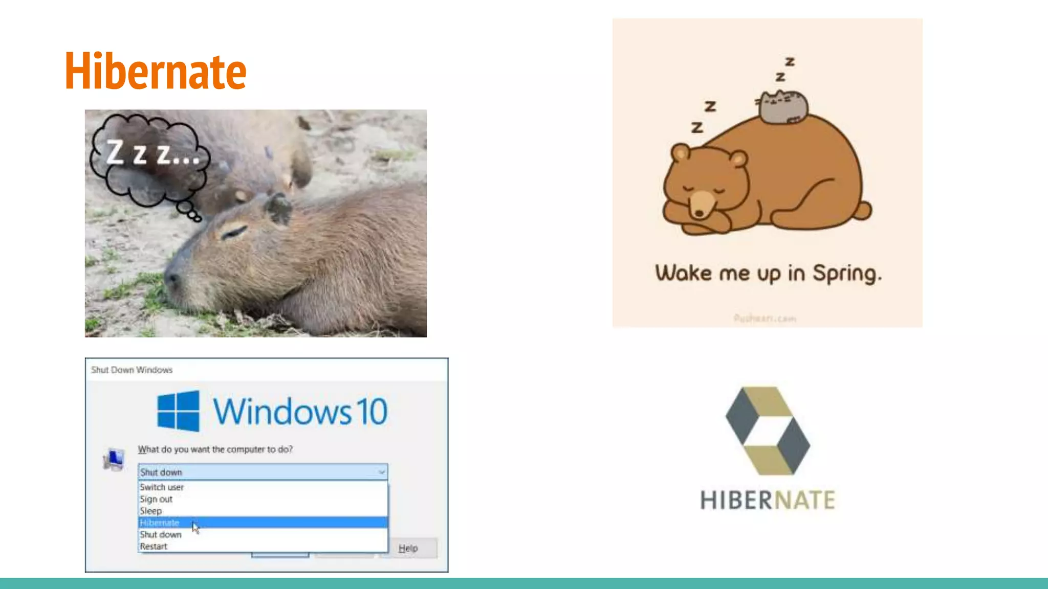 Hibernate
 