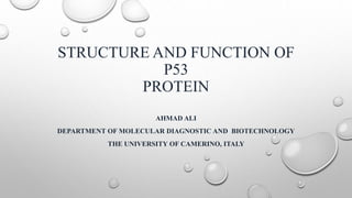STRUCTURE AND FUNCTION OF
P53
PROTEIN
AHMAD ALI
DEPARTMENT OF MOLECULAR DIAGNOSTIC AND BIOTECHNOLOGY
THE UNIVERSITY OF CAMERINO, ITALY
 