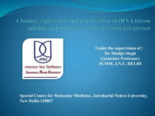 1
Under the supervision of :
Dr. Shailja Singh
(Associate Professor)
SCMM, J.N.U, DELHI
Special Centre for Molecular Medicine, Jawaharlal Nehru University,
New Delhi-110067
 