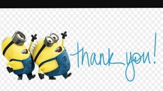 Immune Resopnse to Tuberculosis