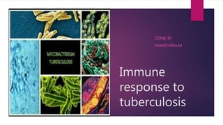 Immune
response to
tuberculosis
DONE BY
MANOVINA.M
 