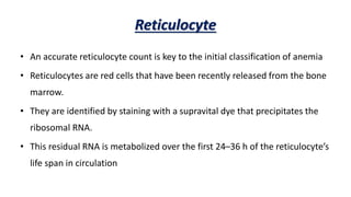 aplastic anemia life expectancy in elderly