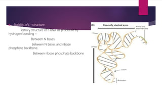Presentation | PPTX