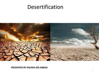 Desertification
PRESENTED BY HALIMA ZEB ABBASI
1
 