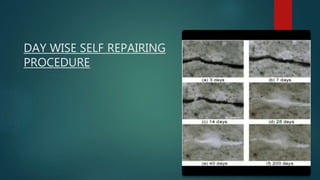 DAY WISE SELF REPAIRING
PROCEDURE
 
