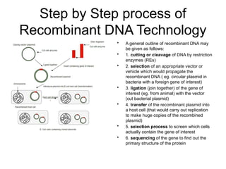 Process Involved In Genetic Engineering Lesson 1 Genetic Engineering Presentation of Group 1 | PPTX
