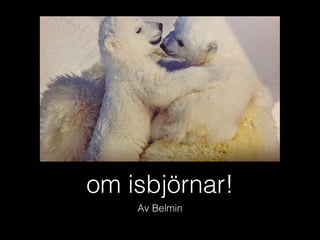 om isbjörnar!
Av Belmin

 