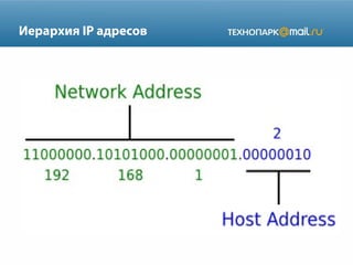 Иерархия IP адресов

 