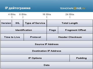 IP дейтограмма

 