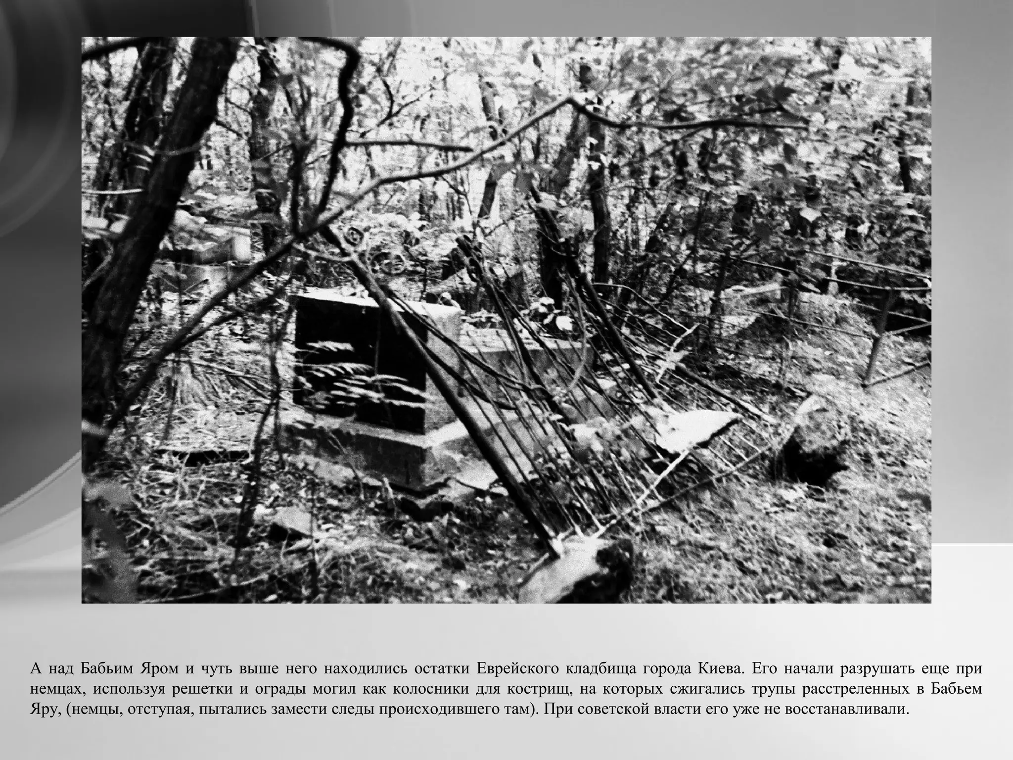 А над Бабьим Яром и чуть выше него находились остатки Еврейского кладбища города Киева. Его начали разрушать еще при
немцах, используя решетки и ограды могил как колосники для кострищ, на которых сжигались трупы расстреленных в Бабьем
Яру, (немцы, отступая, пытались замести следы происходившего там). При советской власти его уже не восстанавливали.
 