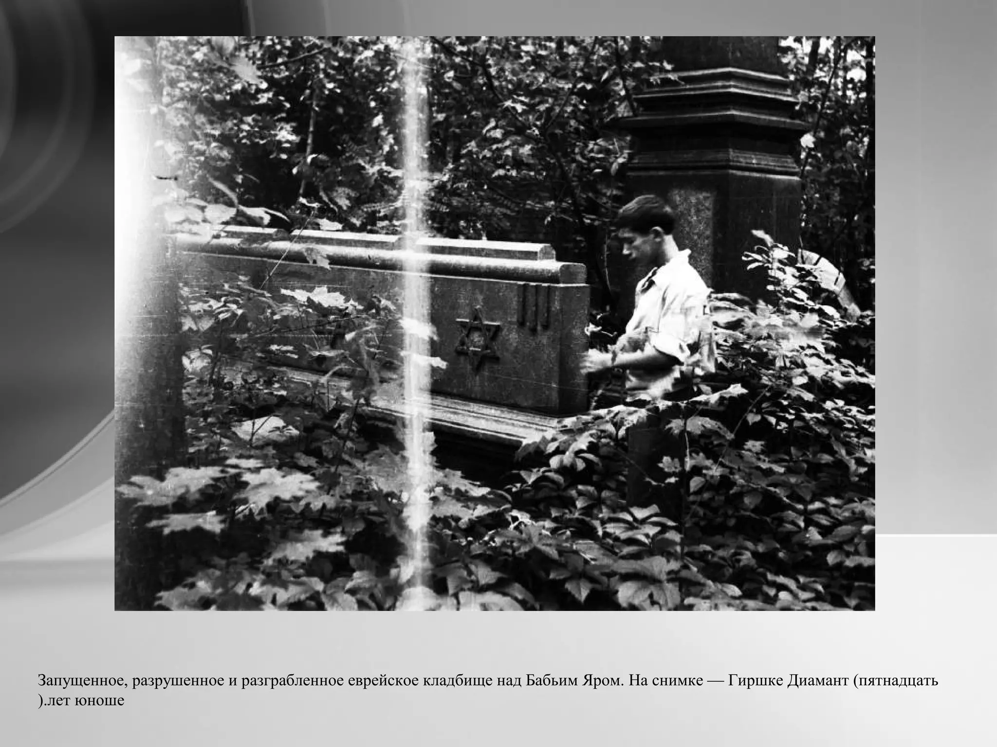 Запущенное, разрушенное и разграбленное еврейское кладбище над Бабьим Яром. На снимке — Гиршке Диамант (пятнадцать
лет юноше).
 