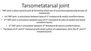 Tarsometatarsal joint
• TMT joint is plane synovial joint & formed by distal row of tarsal bones(posterioly) & base of
metatarsals.
• 1st TMT joint is articulation between base of 1st metatarsal & medial cuneiform bones.
• 2nd TMT joint is articulation between base of 2nd metatarsal & sides of medial and lateral
cuneiform bones.
• 3rd TMT joint is articulation between 3rd metatarsal & lateral cuneiform bones.
• The Bases of 4th and 5th metatarsal with distal surface of cuboid bone ,form the 4th and 5th
metatarsal joint .
 