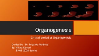Organogenesis
Critical period of Organogenesis
Guided by : Dr. Priyanka Wadhwa
By: Nikita Kumari
BAMS (2020 Batch)
 