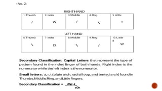 CHAPTER 5 CLASSIFICATION FORMULA CRIMNOLGY | PPTX