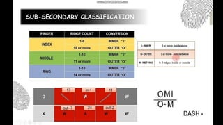 CHAPTER 5 CLASSIFICATION FORMULA CRIMNOLGY | PPTX