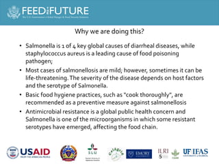 Salmonella and Staphylococcus contamination in pork and chicken in Cambodian markets