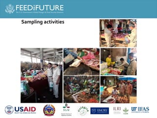 Salmonella and Staphylococcus contamination in pork and chicken in Cambodian markets