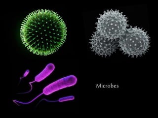 Microbes
 
