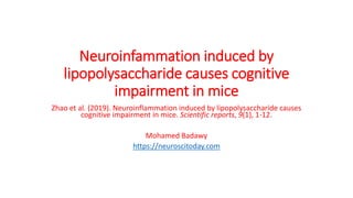 Neuroinfammation induced by
lipopolysaccharide causes cognitive
impairment in mice
Zhao et al. (2019). Neuroinflammation induced by lipopolysaccharide causes
cognitive impairment in mice. Scientific reports, 9(1), 1-12.
Mohamed Badawy
https://neuroscitoday.com
 