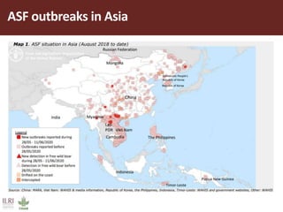  Introduction of African swine fever activities in Vietnam