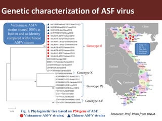  Introduction of African swine fever activities in Vietnam